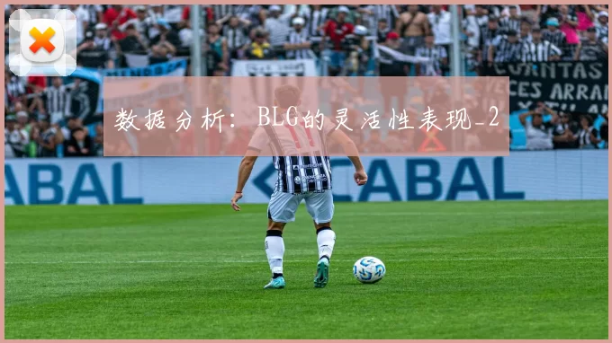 数据分析：BLG的灵活性表现_2