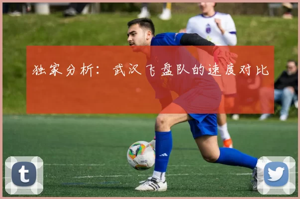 独家分析：武汉飞盘队的速度对比