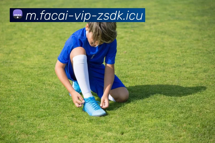 MK体育注册平台生态图